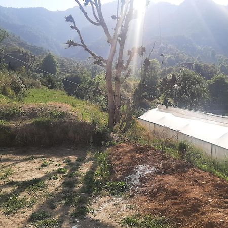 Parvatiya Homestay Mussoorie Ngoại thất bức ảnh