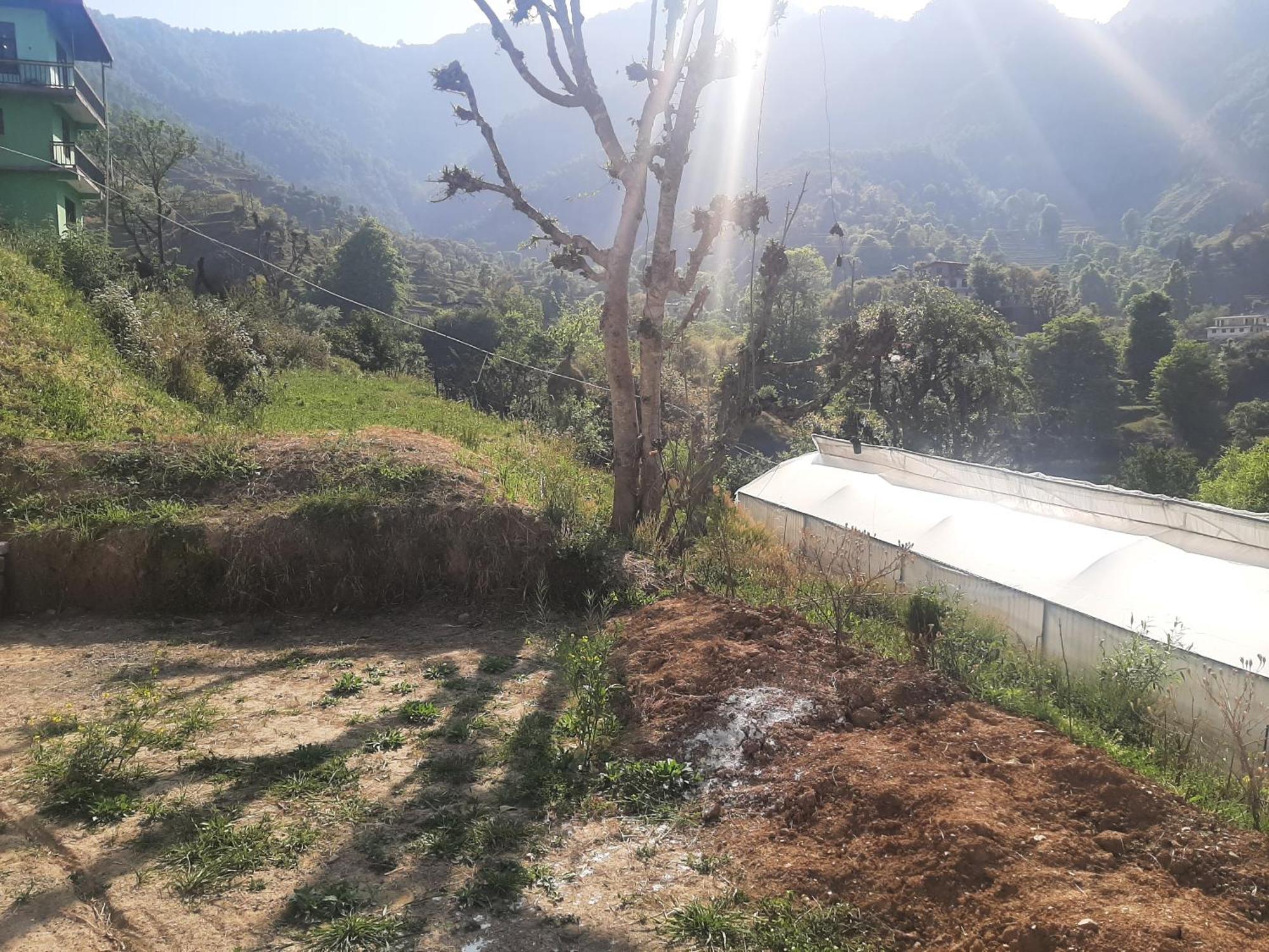 Parvatiya Homestay Mussoorie Ngoại thất bức ảnh